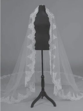 Lace-Trim Cathedral Bridal Veil in White